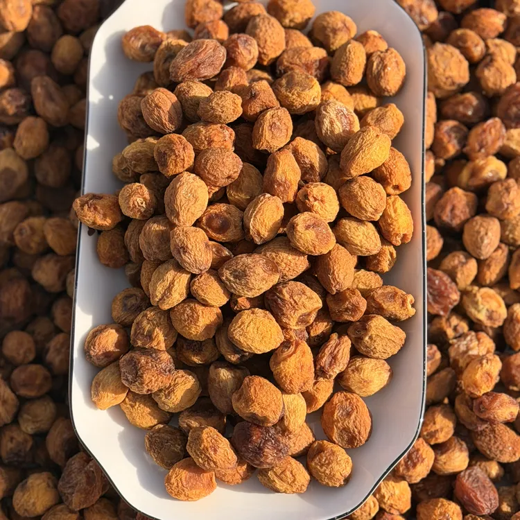 轮台小白杏干 新疆特产  农副产品 天然 无添加 香甜可口散装包邮