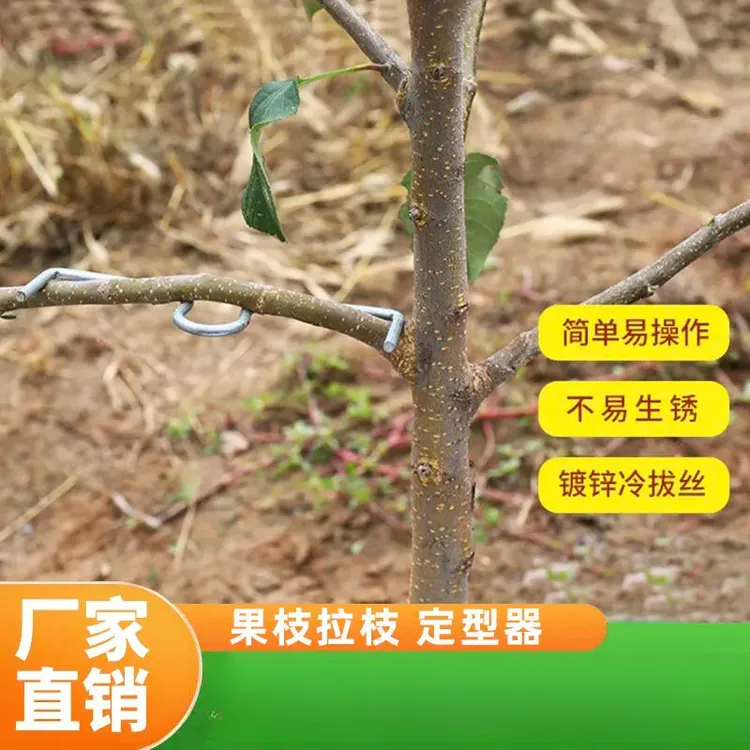 【拍1发30】果树固定神器苗木支撑器压枝弯枝定型固定神器