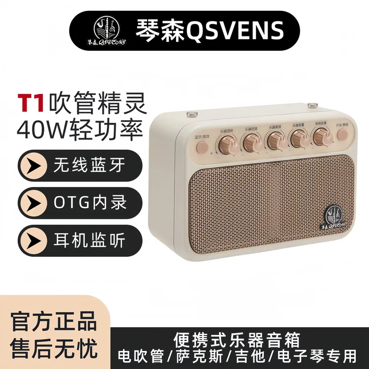 琴森T1迷你便携式乐器专用音箱支持蓝牙内录适用于电吹管吉他户外