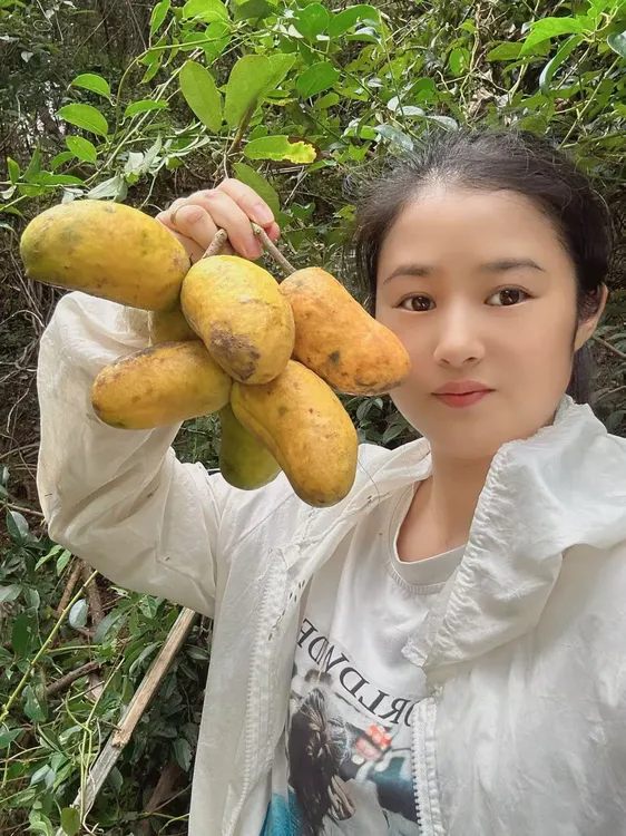 新鲜野生九月黄水果当季