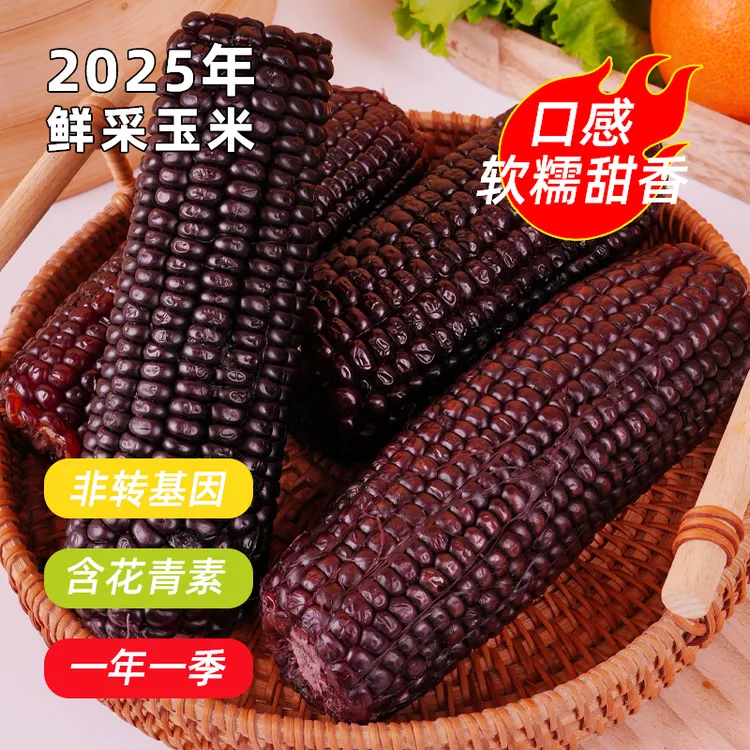 2025鲜糯玉米罐头非即食甜玉米低脂代餐真空包装袋黑黄甜糯玉米棒