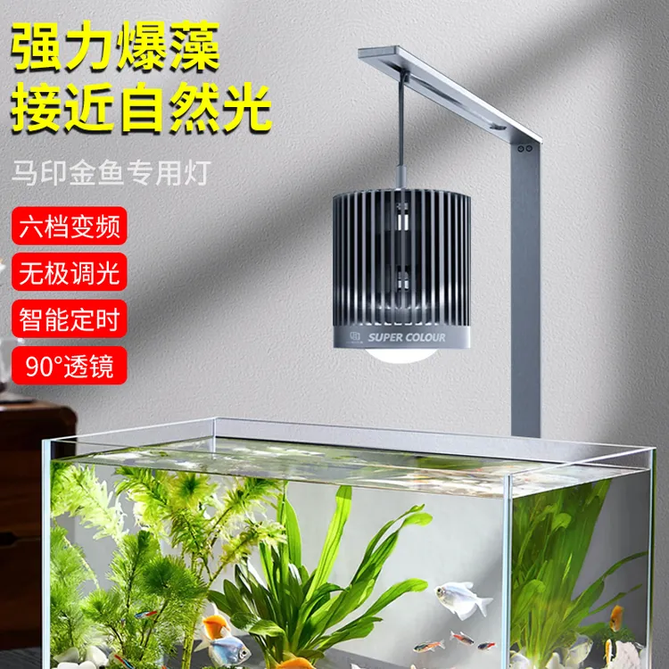 马印神灯超色爆藻鱼缸增艳兰寿金鱼爆藻鱼缸增艳灯
