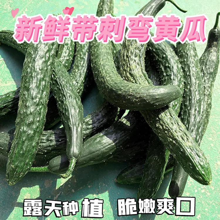 湖北黄瓜农家自种有直有弯嫩黄瓜弯黄瓜露天种植新鲜现摘现发