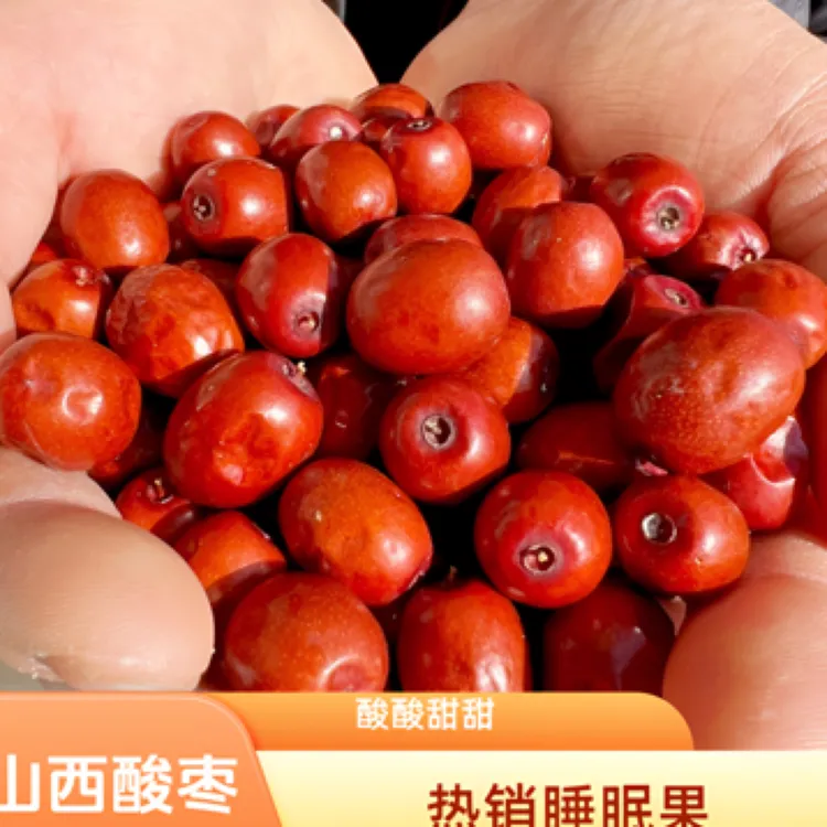 山西黄河滩红枣酸枣干果酸甜可口本地特产适合孕妇核小酸酸