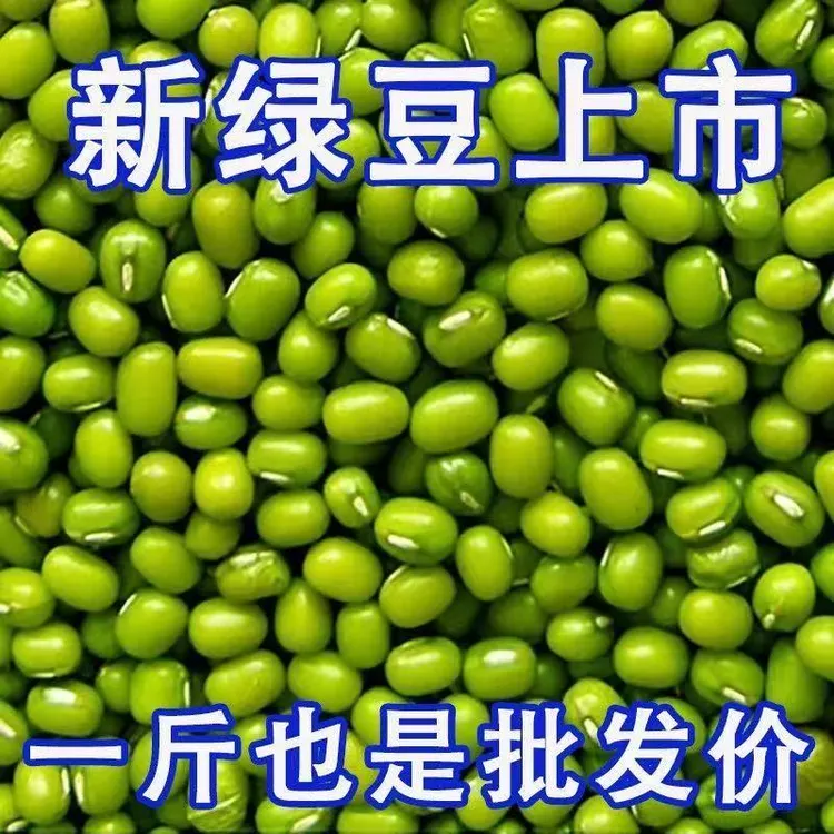 新鲜新货绿豆东北农家解暑绿豆汤绿豆粥精品豆芽五谷杂粮批发发芽