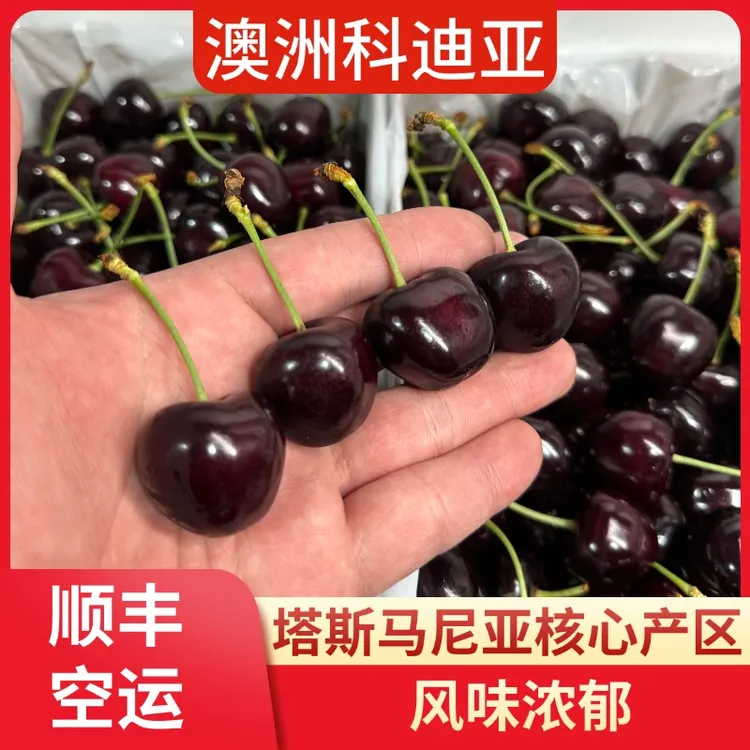 【塔斯马尼亚科迪亚】澳洲空运车厘子4斤装3J 内附果径卡
