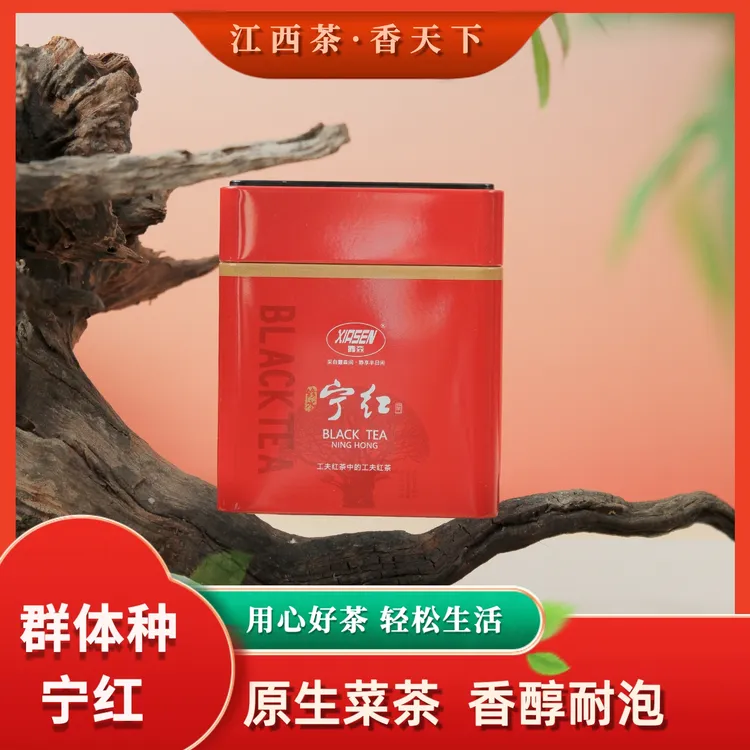 高山群体种修水宁红香甜耐泡2025新茶老树原生菜茶自饮送人花果香