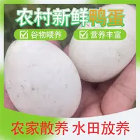 （小刘村长助农）土鸭蛋新鲜鸭蛋农家现捡鸭蛋场地直发正宗散养