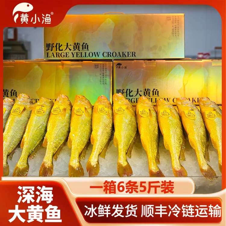 8-9两/条 6条5斤装正宗深海有机大黄鱼深夜捕捞冰鲜黄鱼顺丰直达