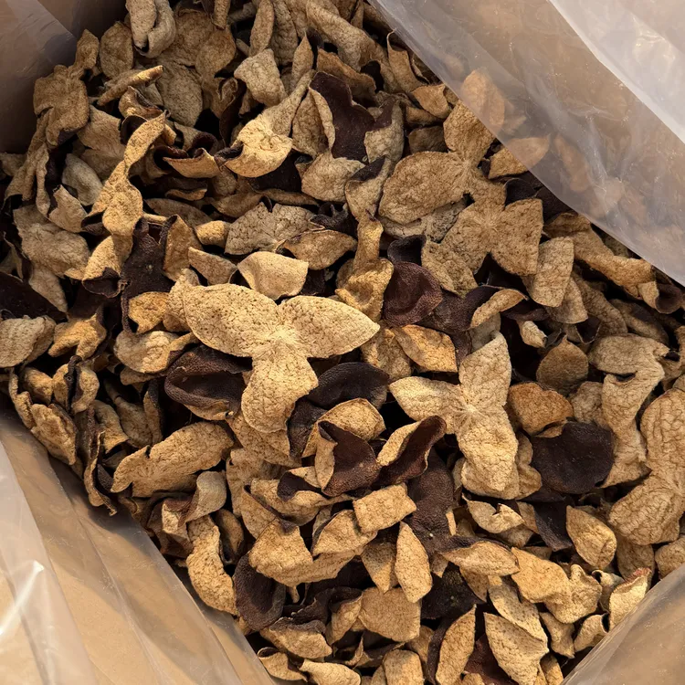 【三贤茶府】2015梅江薄荷香 新会核心产区陈皮50克 200克 500克 