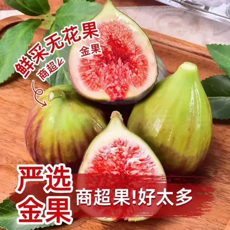 【顺丰包邮】发货云南新鲜红皮鲜果无花果现摘现发软糯特大蜜甜超