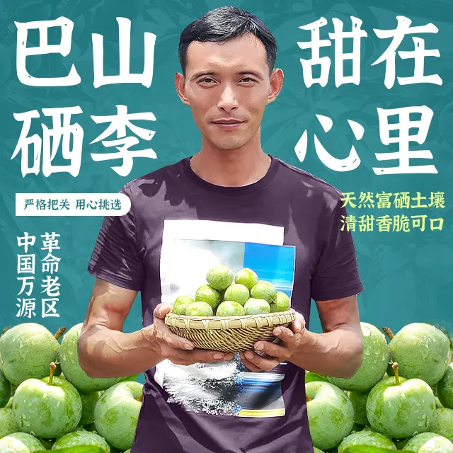 四川万源魏家青脆李巴山硒李