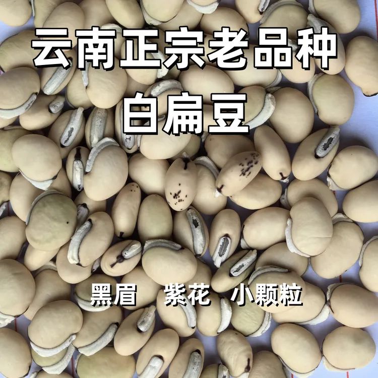 白扁豆云南老品种小颗粒黑边白扁豆熬粥煲汤