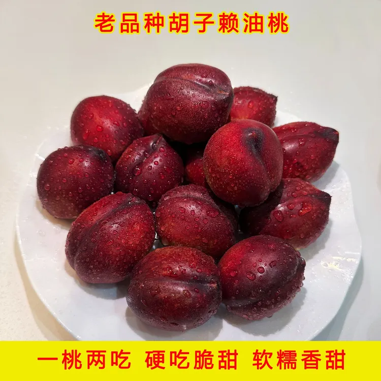 老品种胡子赖油桃脆软糯香甜红肉龙血桃子当季新鲜现摘孕妇水果