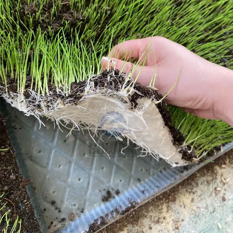 新疆西藏包邮9寸机插水稻育秧盘PVC透明稻谷平底盘7寸插秧机软盘