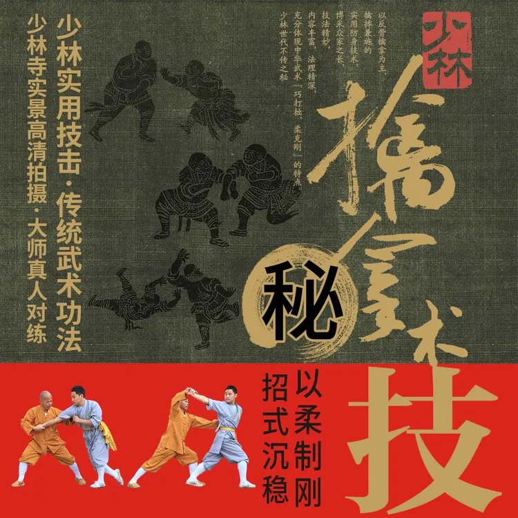 少林绝技擒拿术实战格斗，搏击武术少林武僧总教练释德扬视频教学