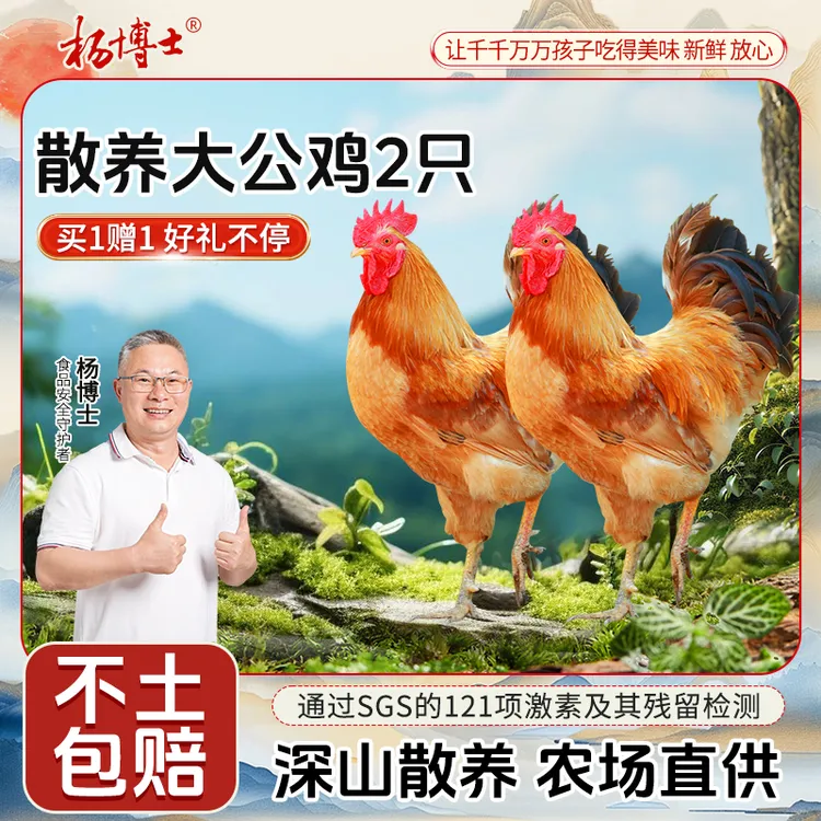【买1赠1-散养大公鸡】杨博士深山散养土鸡农场直供红烧鲜美高蛋白商品图