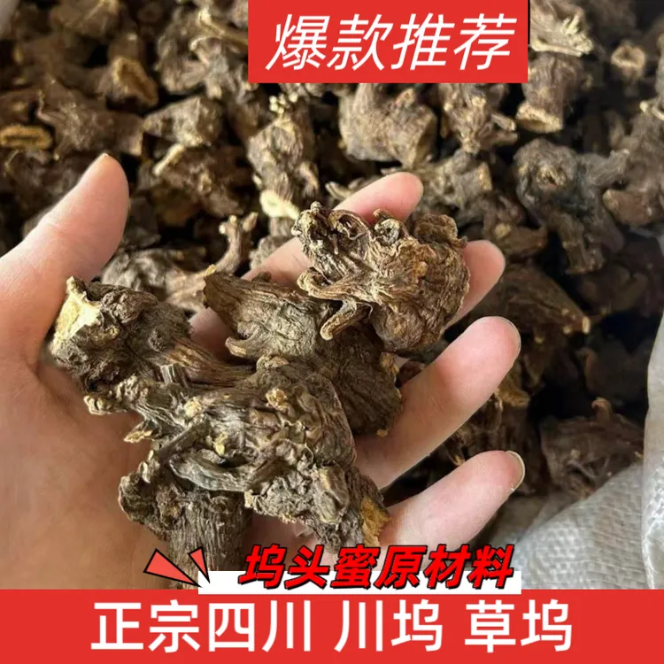 正宗四川江油无硫熏无炮制农产品乌头蜜干制川乌头制草乌头