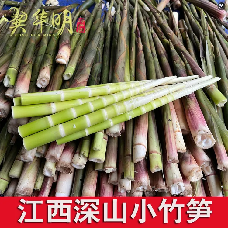 江西野生竹笋新鲜小竹笋春笋山竹笋现挖非雷笋当季鲜笋水竹笋5斤