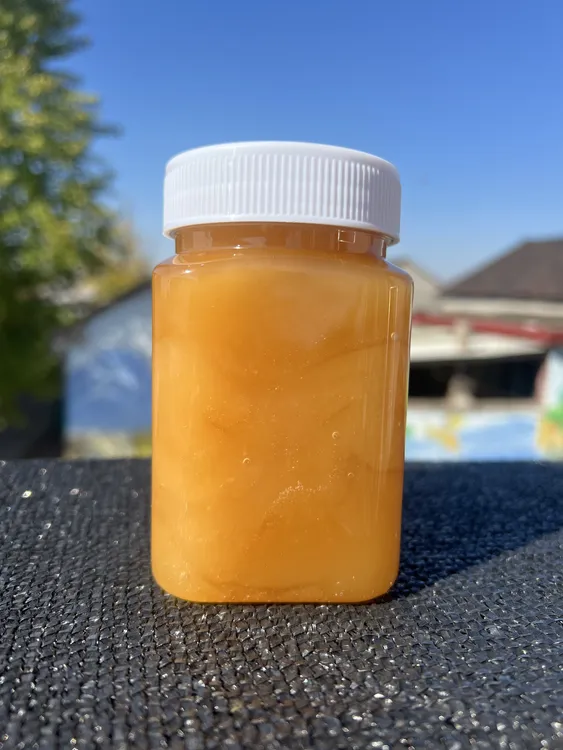 【结晶党参蜜】好喝营养蜂场直发