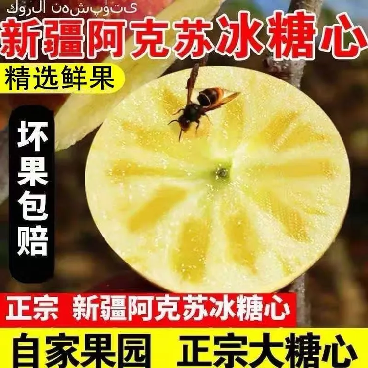 【新疆直发】正宗阿克苏冰糖心苹果2025不套袋光果脆甜多汁不打蜡