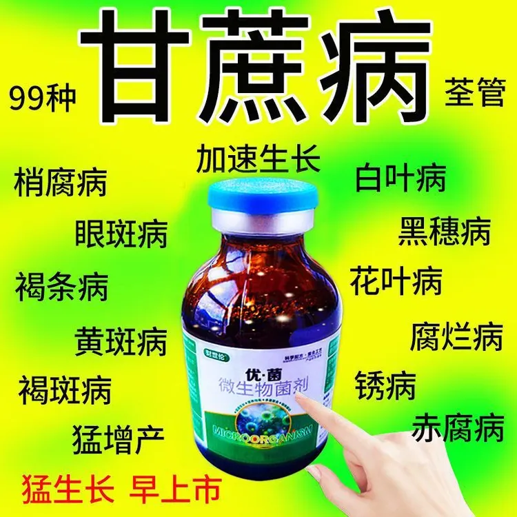 甘蔗病全治稍腐病专用剂甘蔗锈病叶斑病黑穗赤腐病黄叶黄化病