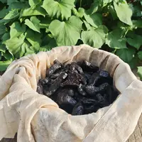 农家山货  玖蒸玖晒  黄 米~青  