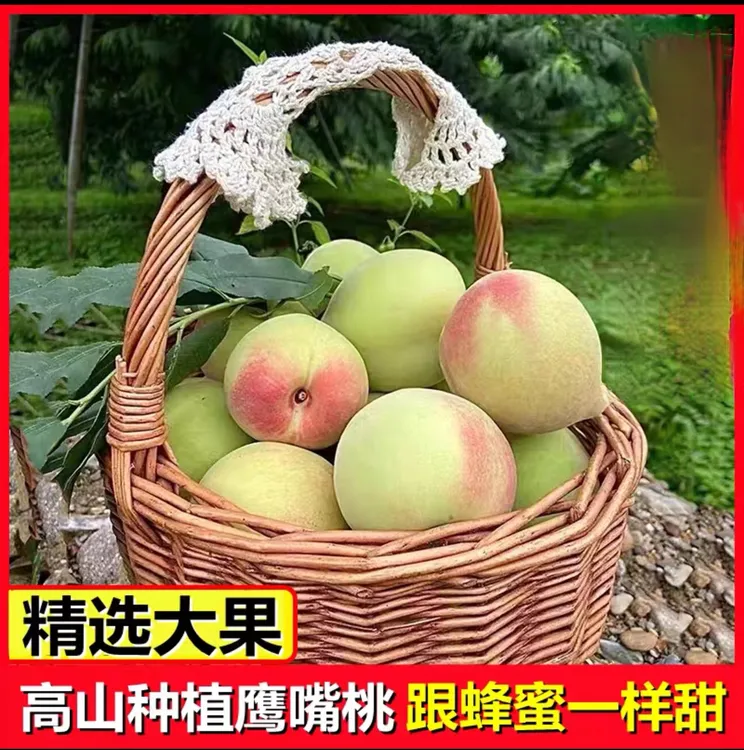 （顺丰包邮）白莲鹰嘴桃新鲜脆甜当季现摘