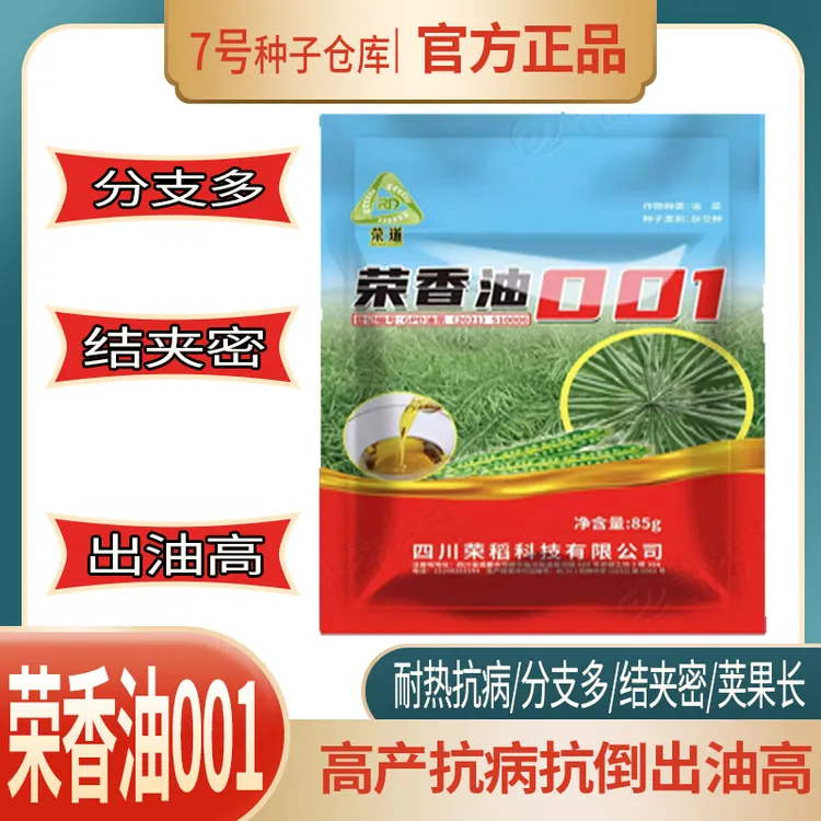 高产梅花型油菜种子荣香油001油菜种子