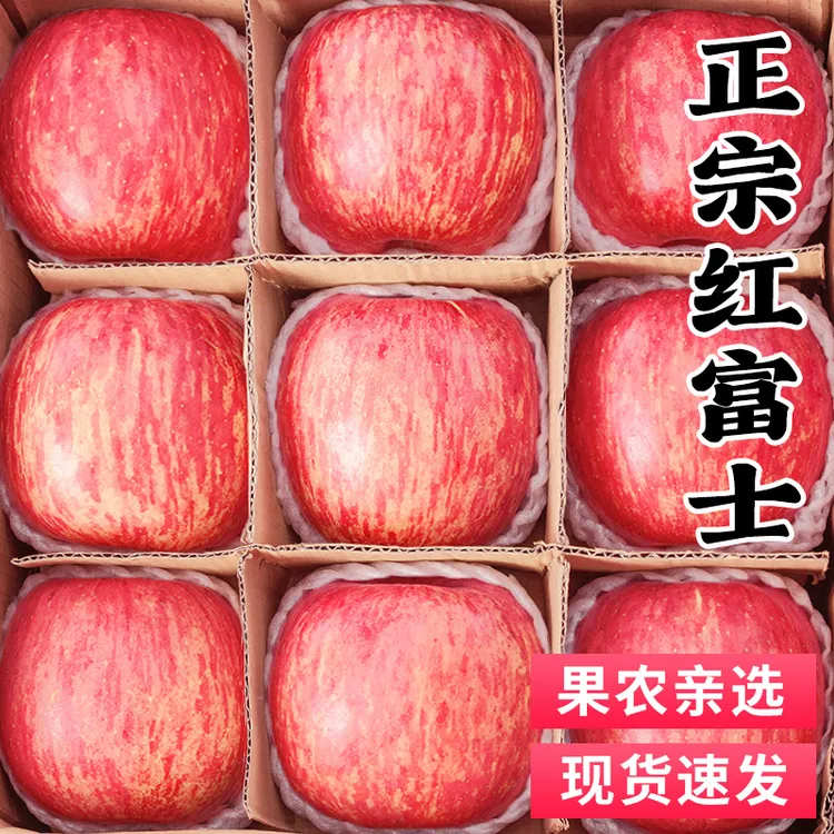 正宗山东烟台红富士苹果新鲜水果整箱当季水果栖霞脆甜丑果子包邮