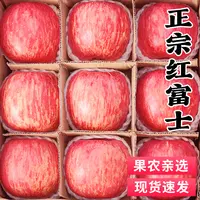 正宗山东烟台红富士苹果新鲜水果整箱当季水果栖霞脆甜丑果子包邮