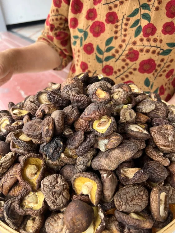 香浓肉厚无硫小香菇特产适合炖鸡汤的干货