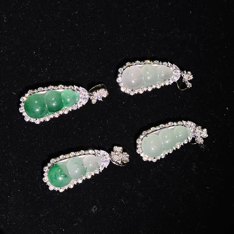 非洲翠四季豆（多样性发一）