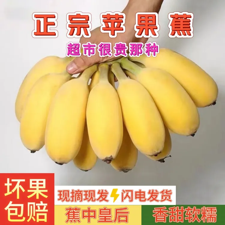 【产地直发】正宗苹果蕉软糯香甜新鲜现摘自然成熟产地直发好吃不贵