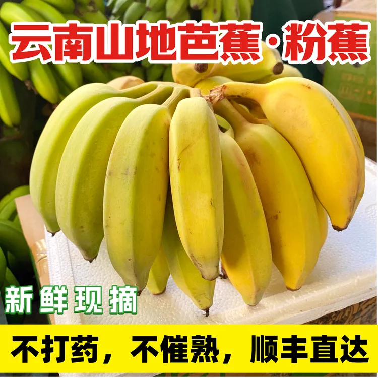 【顺丰快递】云南正宗粉蕉西贡蕉新鲜芭蕉应季孕妇水果现摘自然熟