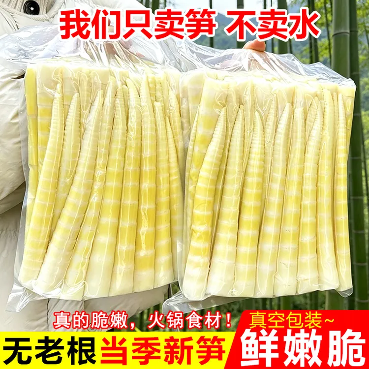 四川高山去壳新鲜竹笋嫩笋尖清水笋火锅笋脆嫩食材商品图