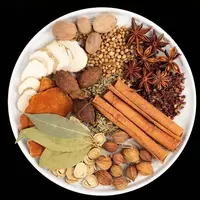 蛋【五香卤肉专用料包】卤味制作 一包搞定  炒菜卤肉厨师专用料包