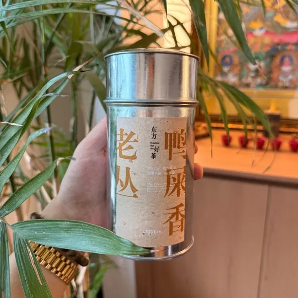 传统工艺凤凰单枞茶鸭屎香碳焙春茶今年以售罄明年8月份上新春茶