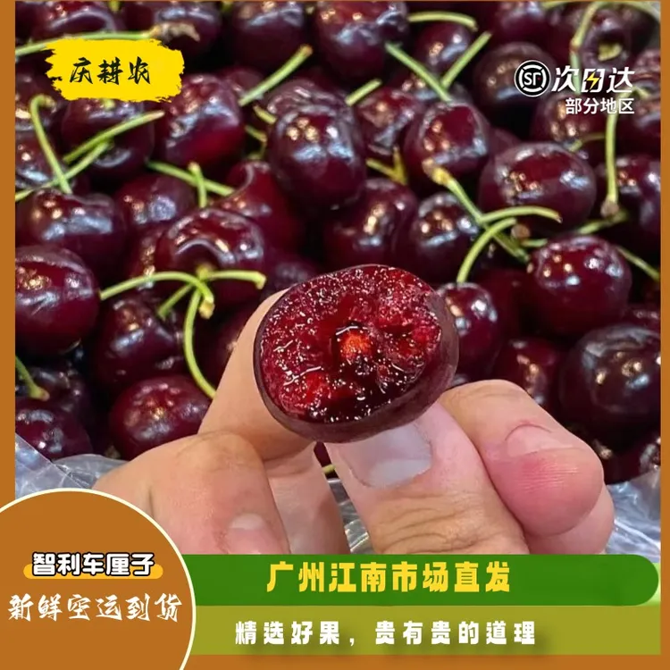 顺丰空运智利车厘子JJ-3J新鲜进口水果脆甜多汁1-5斤内附果径卡