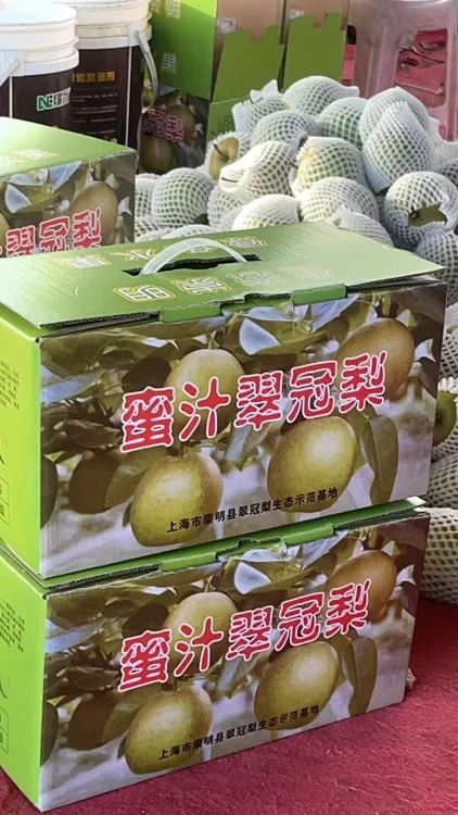 整箱10斤翠冠梨水果梨子超值装10斤装皇冠梨