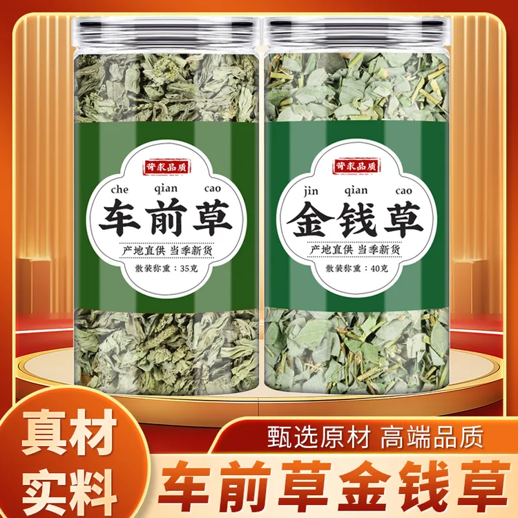 车前草金钱草中药材正品煮泡水喝的功效与作用新鲜车前草干草批发
