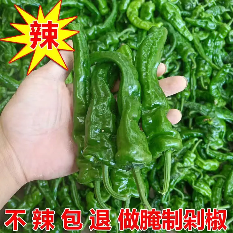 【不辣包退】特辣特香薄皮农家土辣椒新鲜采摘1/2/3/5/9斤装