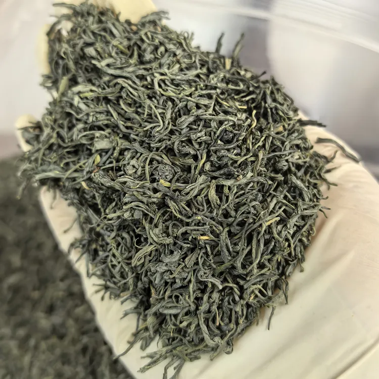 《买两斤送一斤》五峰高山绿茶新茶栗香口感纯正浓香耐泡口粮茶珍眉