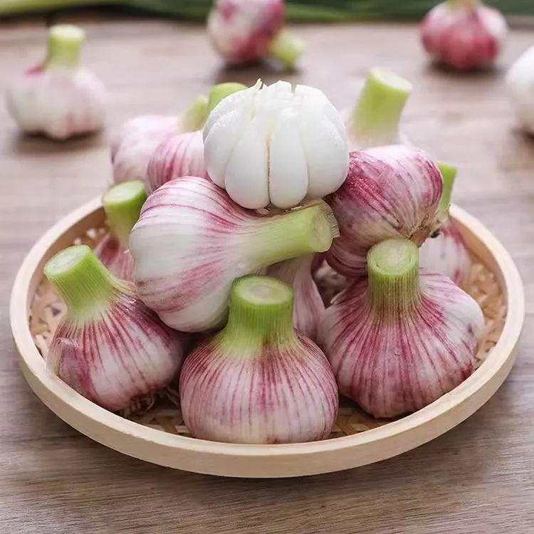 新鲜现挖紫白皮多瓣大蒜可腌泡糖醋蒜商品图