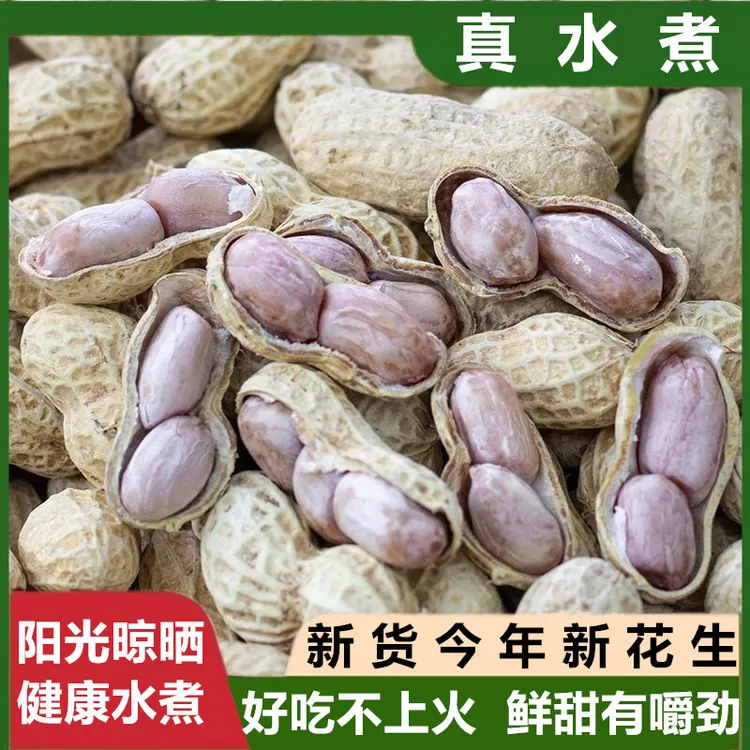 【真水煮】新货福建龙岩特产水煮花生白晒咸干嚼劲龙岩湿烤花生日晒