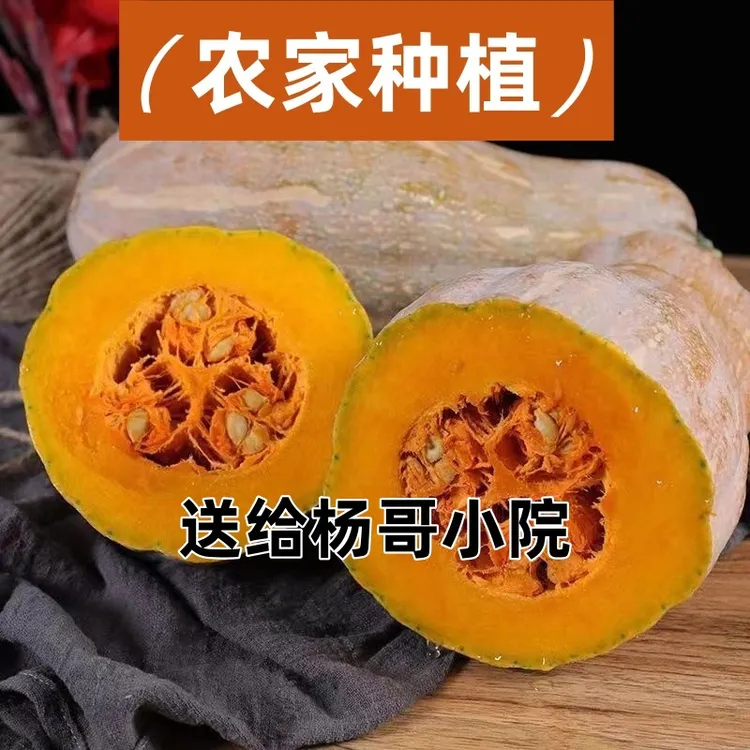 狗宝吃的当季新鲜南瓜农家自种