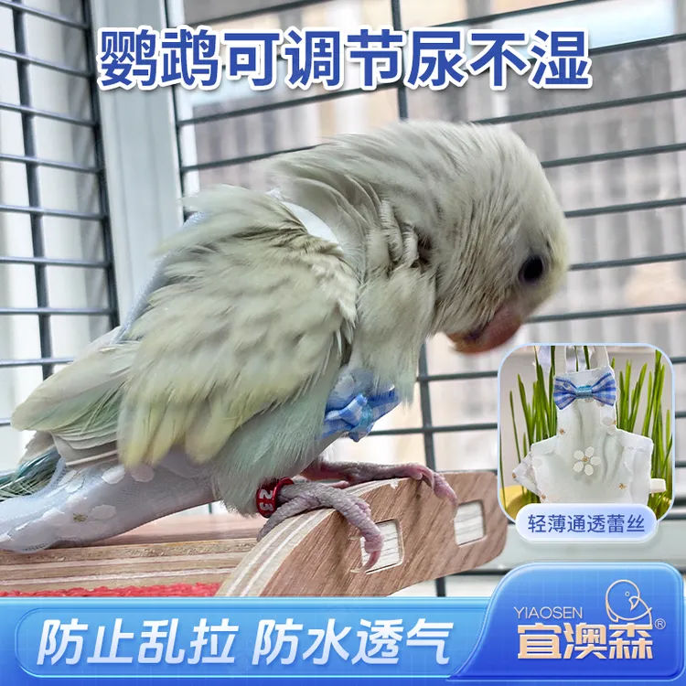 鹦鹉蕾丝尿不湿可调节立体款八哥金太阳虎皮衣服屎兜大容量薄