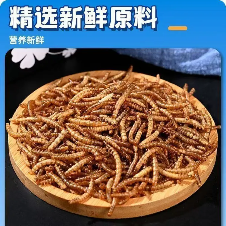 面包虫【虫干】观赏鱼乌龟仓鼠蜘蛛蛙八哥鸟等动物饲料
