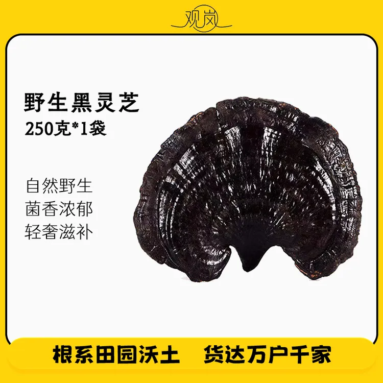 深山现收黑灵芝野生黑灵芝自然晒干无熏染无添加泡酒煲汤煮水