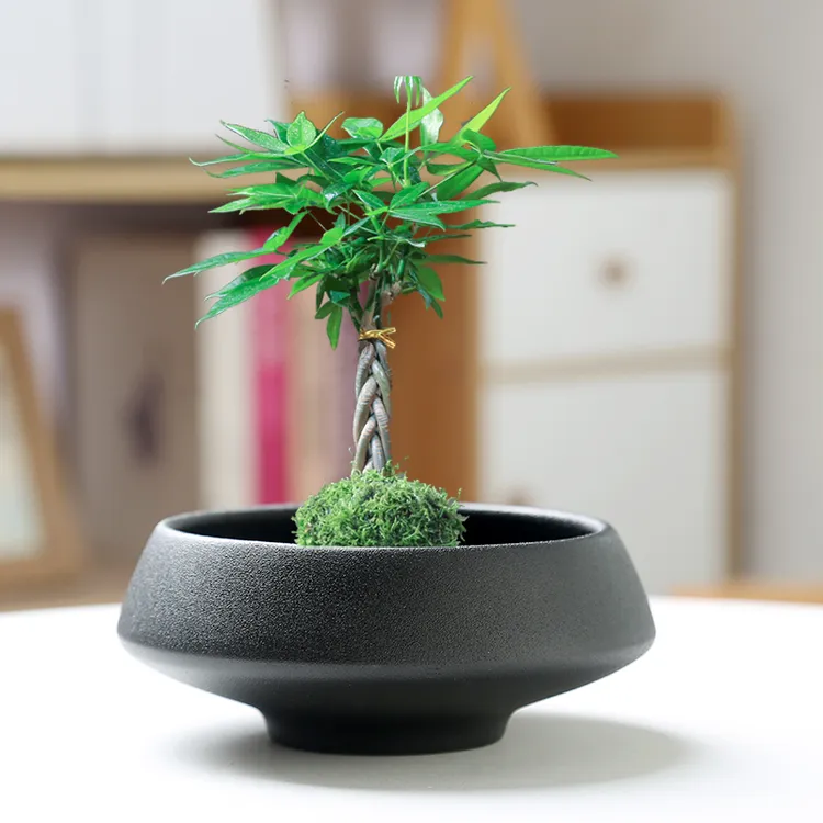 【新客立减】人气苔藓花盆陶瓷中式亚光桌面摆件水培米竹菖蒲水培